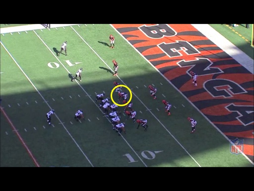 The Film Don't Lie: Bengals