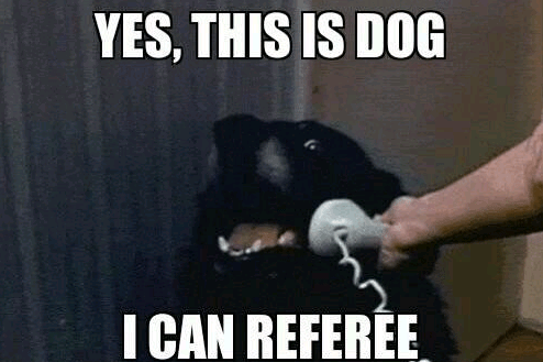 Yes-Dog-Can-Referee.png