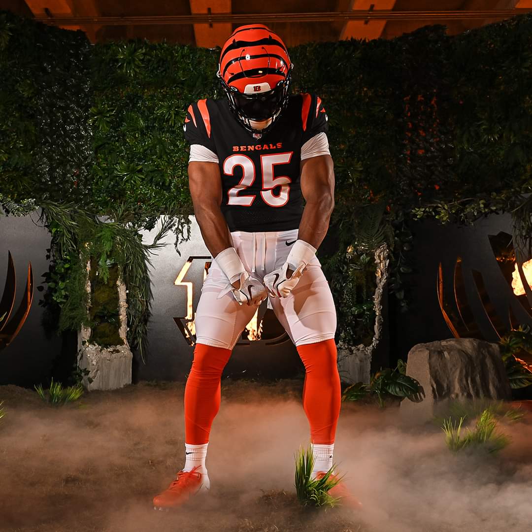 BENGALS 2022 SCHEDULE * - THE BENGALS FORUM - For Bengals Fans *Only* - GO- BENGALS.COM X WHO DEY X AFC CHAMPIONS!