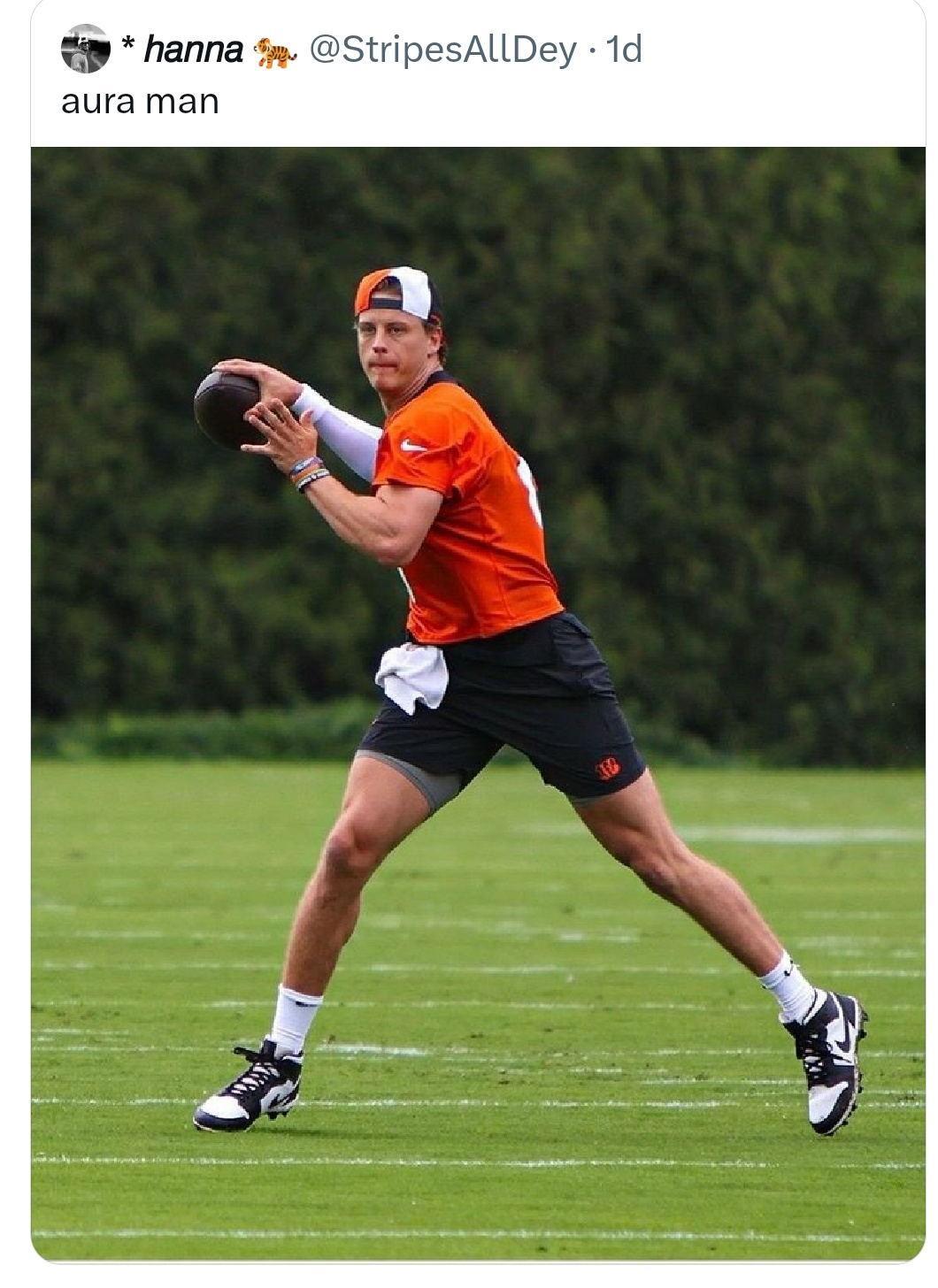 Random 2024 Bengals Related Stuff - Page 40 - THE BENGALS FORUM - For ...