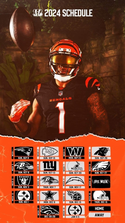 FB_IMG_1721259975384.jpg