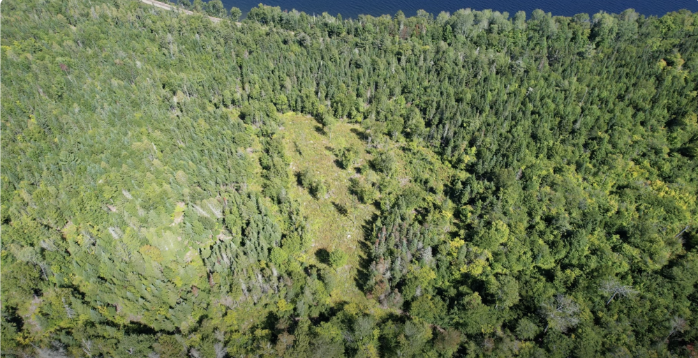 Screenshot 2025-07-28 at 11.56.51 PM.png