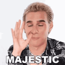 majestic-brad-mondo.gif