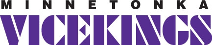 ViceKingsLogo.jpg